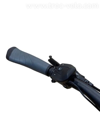 Pegasus Premio Evo 5 Belt Vélo électrique Shimano Nexus 2022 - 7