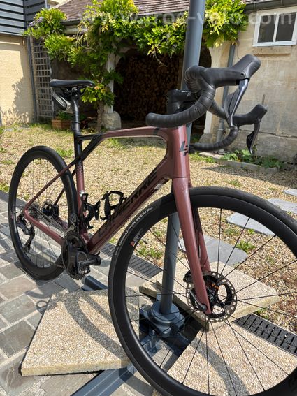 Lapierre Pulsium Sat 8.0 2024 - 2