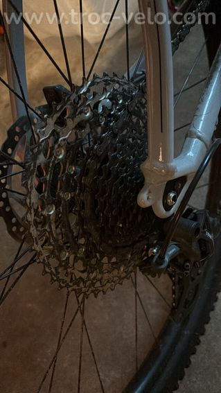 VTT - CANYON - Grand Canyon 8 - Taille L - 14
