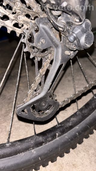 VTT - CANYON - Grand Canyon 8 - Taille L - 15