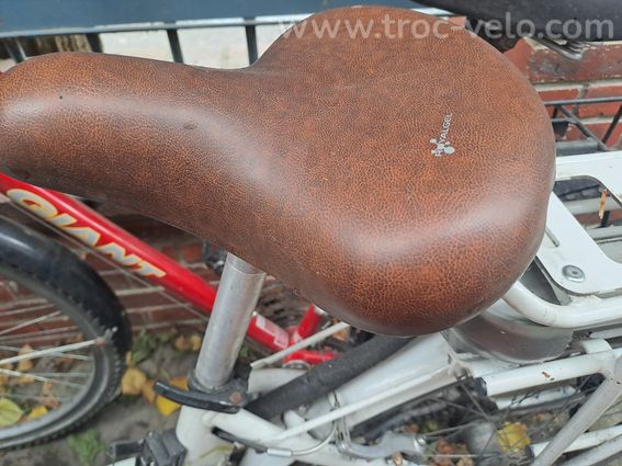 Vélo électrique Arcade - 4