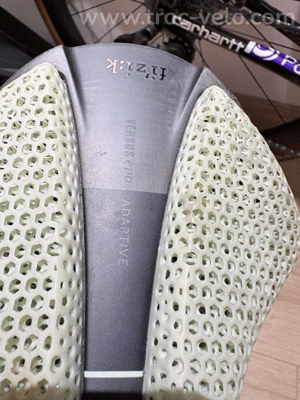 Fizik versus evo adaptative  - 2