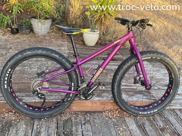 FAT BIKE SILVERBACK - 4