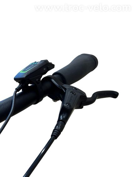 Diamant Beryll Gen 3 Vélo électrique Shimano Nexus 2024 - 6