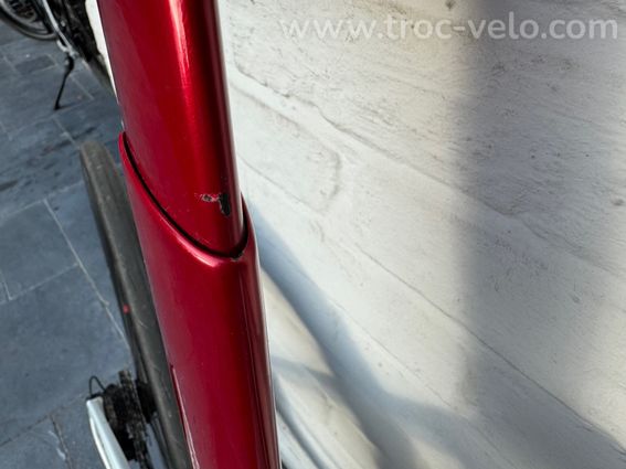 Trek Madone Segafredo - 15
