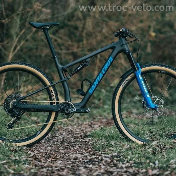 Santa Cruz Blur C - 4