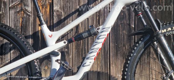 2024 Canyon Spectral 125 CF 7 - 3