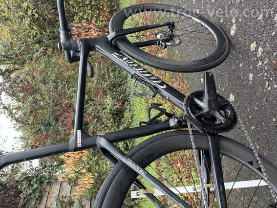 WILIER Filante SL 2026 - 3