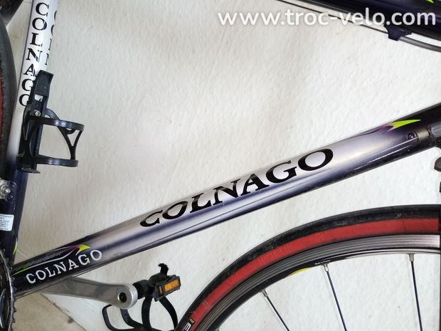 colnago dream art decor altec - 4