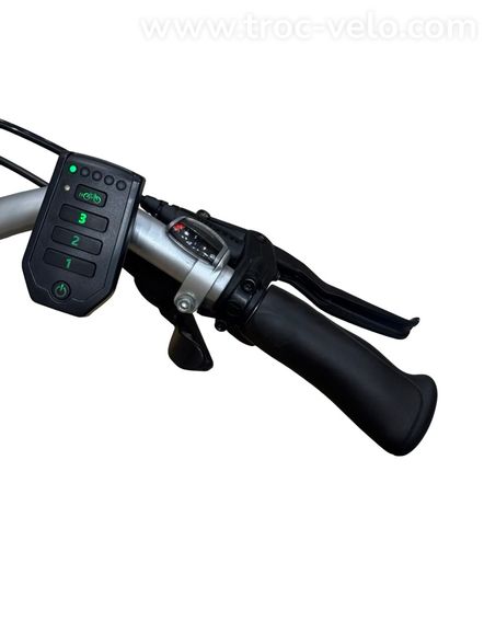 Van Raam Twinny E Vélo électrique Shimano Nexus 2022 - 8