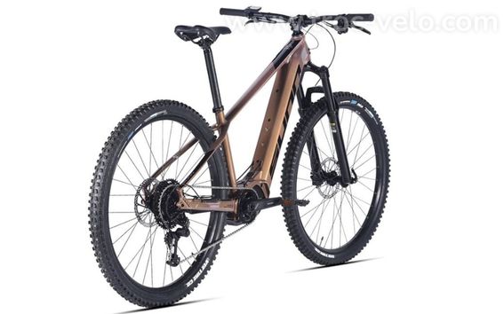 VTT Electrique Sunn Flash S2 29'' 500 Wh Champagne – Taille M – 2023 - 3