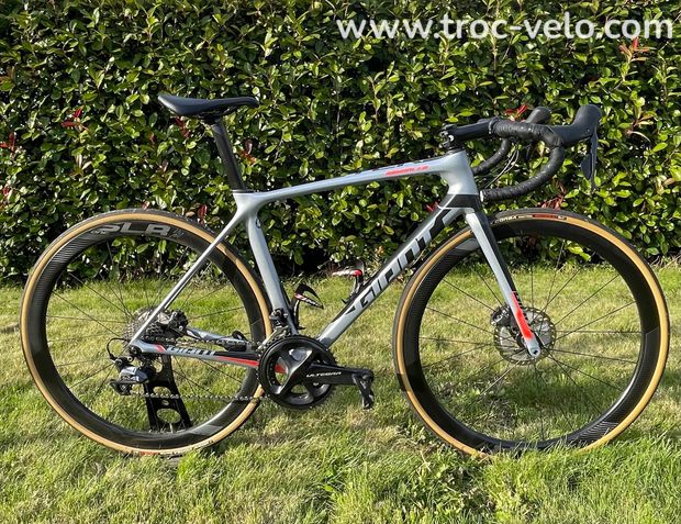 Giant TCR advanced pro 1 disc 2019 - 1