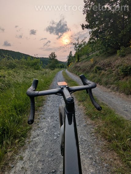 Wilier Rave SL - 3