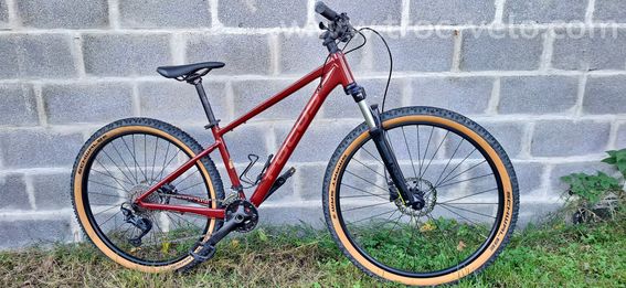 Focus whistler 3.7 - 6
