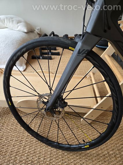 Sunn Finest 2019 Carbon - 2