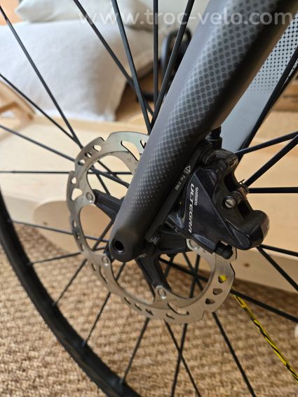 Sunn Finest 2019 Carbon - 3