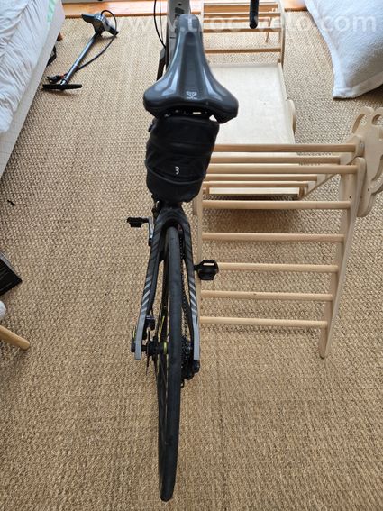 Sunn Finest 2019 Carbon - 6