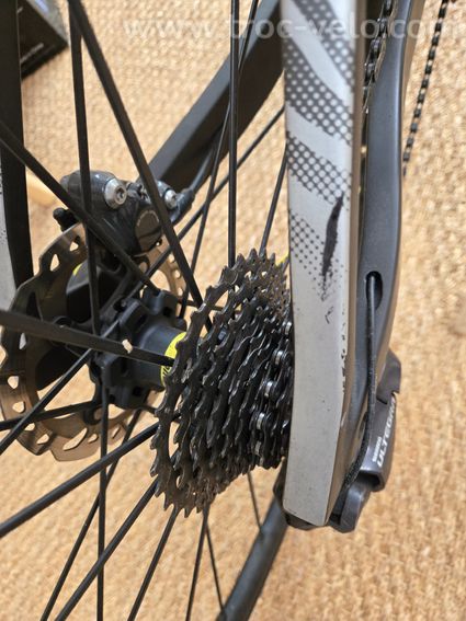 Sunn Finest 2019 Carbon - 9