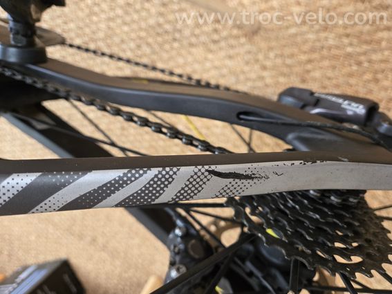 Sunn Finest 2019 Carbon - 10