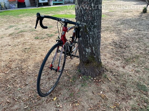 TREK ALPHA 2.1 aluminium - T 54 - 2