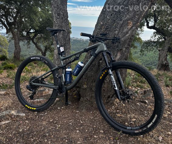 Sworks epic evo L