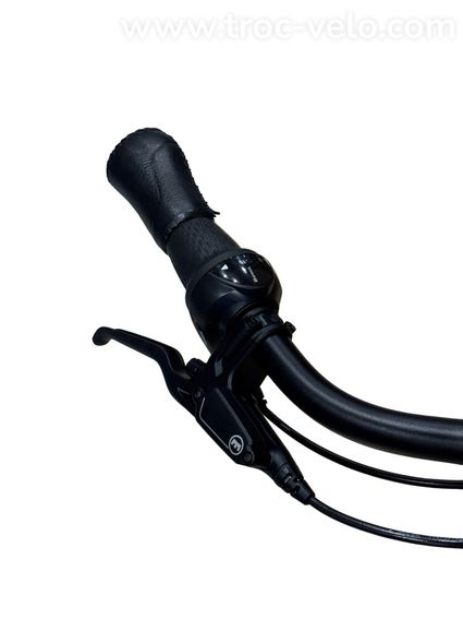 Gazelle Avignon C8 HMB Vélo électrique Shimano Nexus 2023 - 5