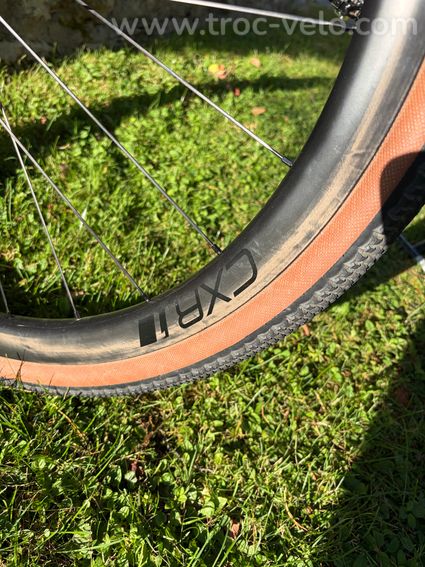 GIANT REVOLT Advanced Pro 1 ML 2025 - 13
