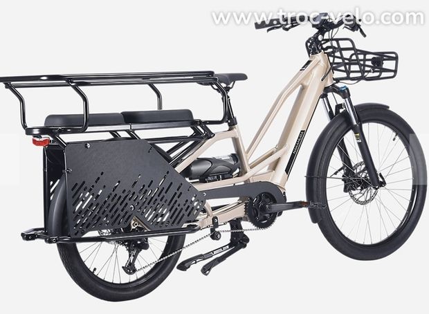 Vélo cargo électrique  - 2