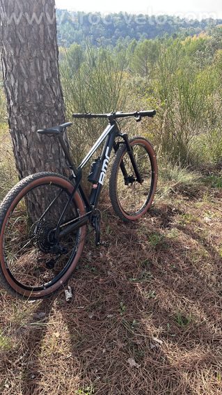 VTT BMC twostroke taille S