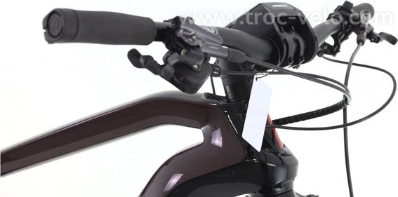 Produit Reconditionne Haibike Xduro Adventr Fs Xt Velo Vtt Electrique Tres Bon Etat - 6