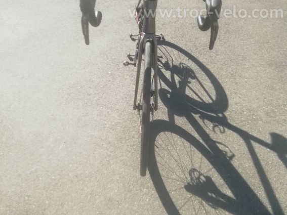 Vélo elves falath pro disque - 3