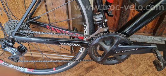 Canyon Endurace CF 8 Di2 Ultegra – taille S/54 - 2