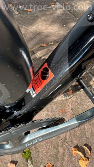 Canyon Endurance CF 6 - 7