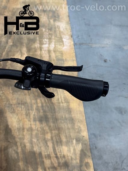 Haibike Trekking 5 Vélo électrique Shimano Alivio 2021 - 6