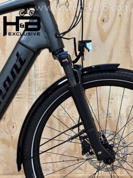 Diamant Opal+ Vélo électrique Shimano Nexus 2022 - 3