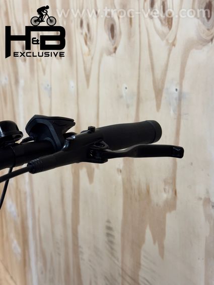 Diamant Opal+ Vélo électrique Shimano Nexus 2022 - 6