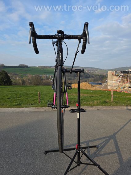 Trek domane - 2