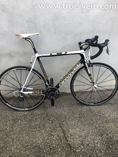 CANNONDALE EVO  - 1