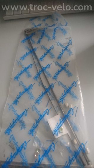 Rayon Campagnolo - 2