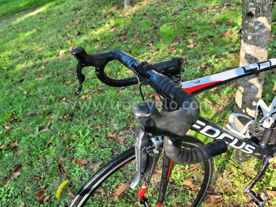 Focus Cayo DI2