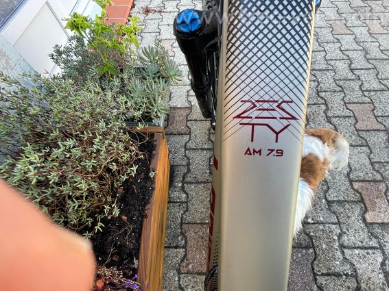 VTT Lapierre Zesty 7.9 . M. 2024 - 3