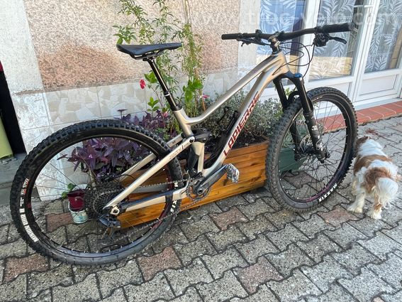 VTT Lapierre Zesty 7.9 . M. 2024 - 4