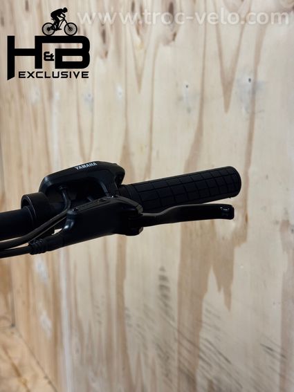 Raymon HardRay E 2.0 29 pouces VTT électrique Shimano Acera 2023 - 5