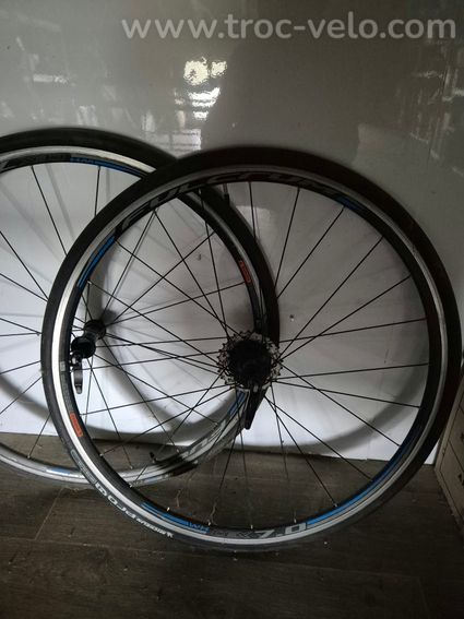 Focus cayo 2 taille M - 7