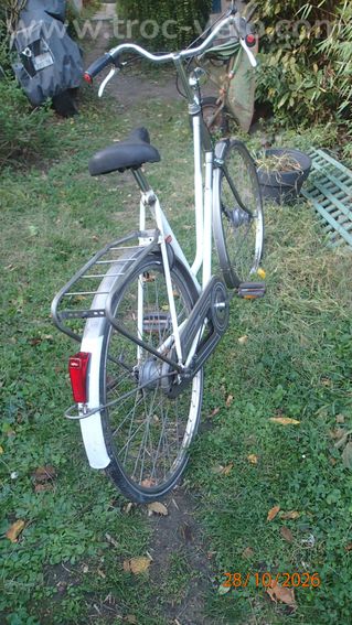 Vélo Hollandais UNION - 4