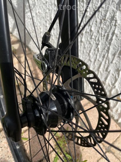 Chiru Vagus Pinion - 3