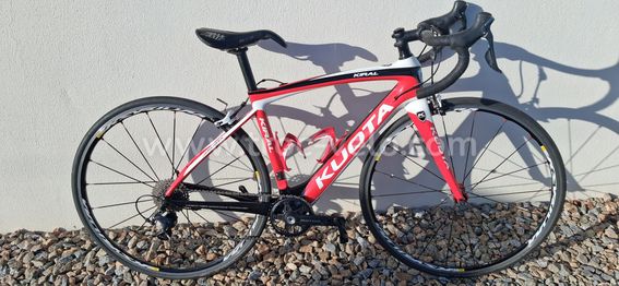 Kuota kyral