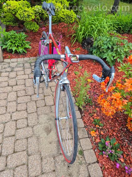 Vélo Vitus 979 taille 52 - 2