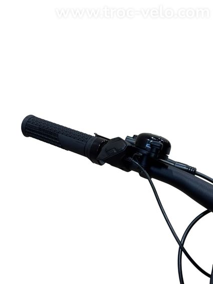 Rose Xtra Watt EVO Plus 2 Vélo électrique Shimano Alfine 2023 - 8