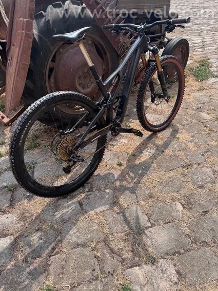 S-works Stumpjumper  - 2